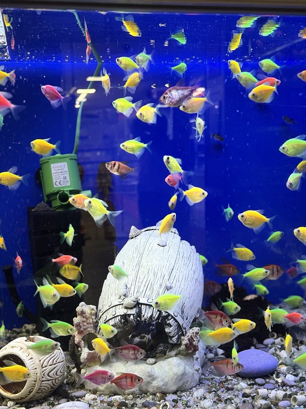 Фото магазина