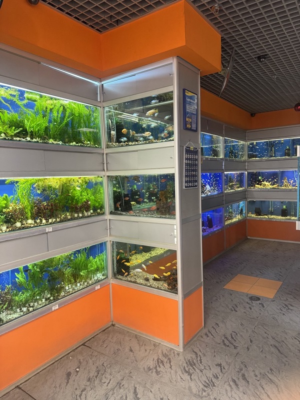 Фото магазина